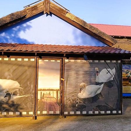 Hotel Pensiunea Miasor Murighiol Zewnętrze zdjęcie